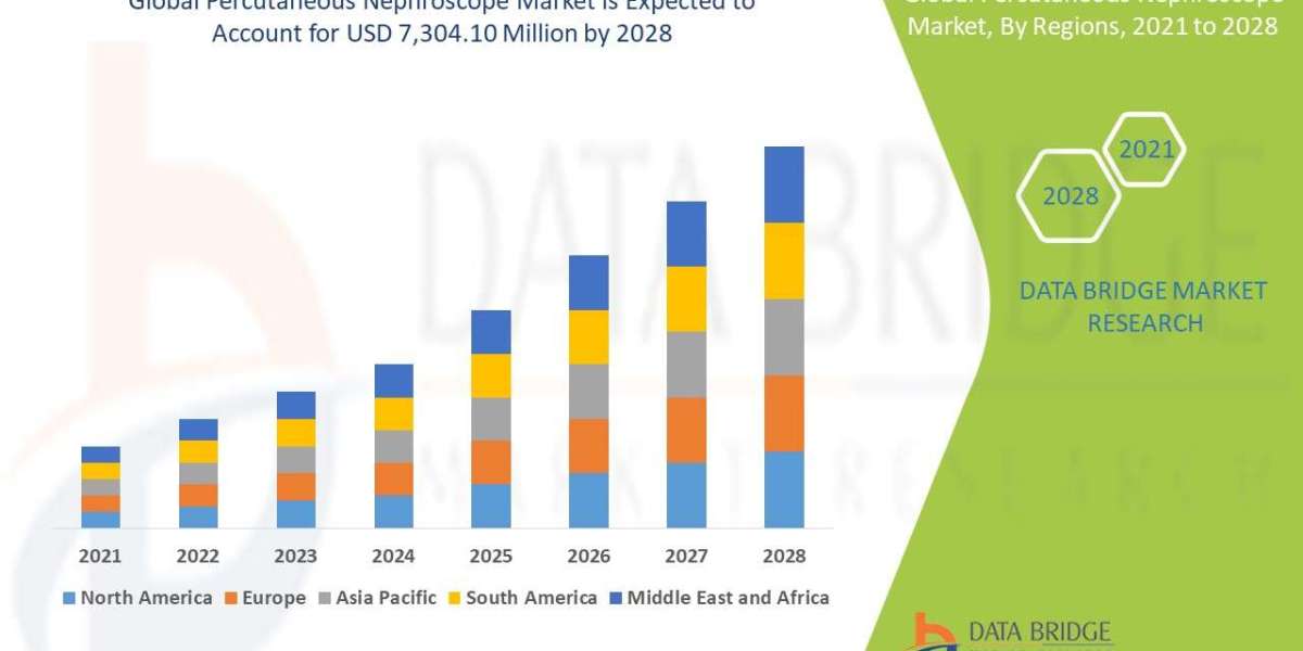 Percutaneous Nephroscope Market Size, Share, Trends, Growth Opportunities and Competitive Outlook