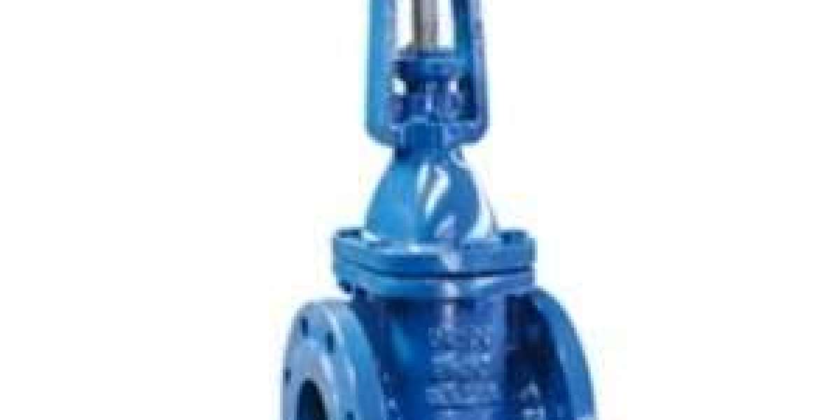 Cast Iron Gate Valves Manufacturers