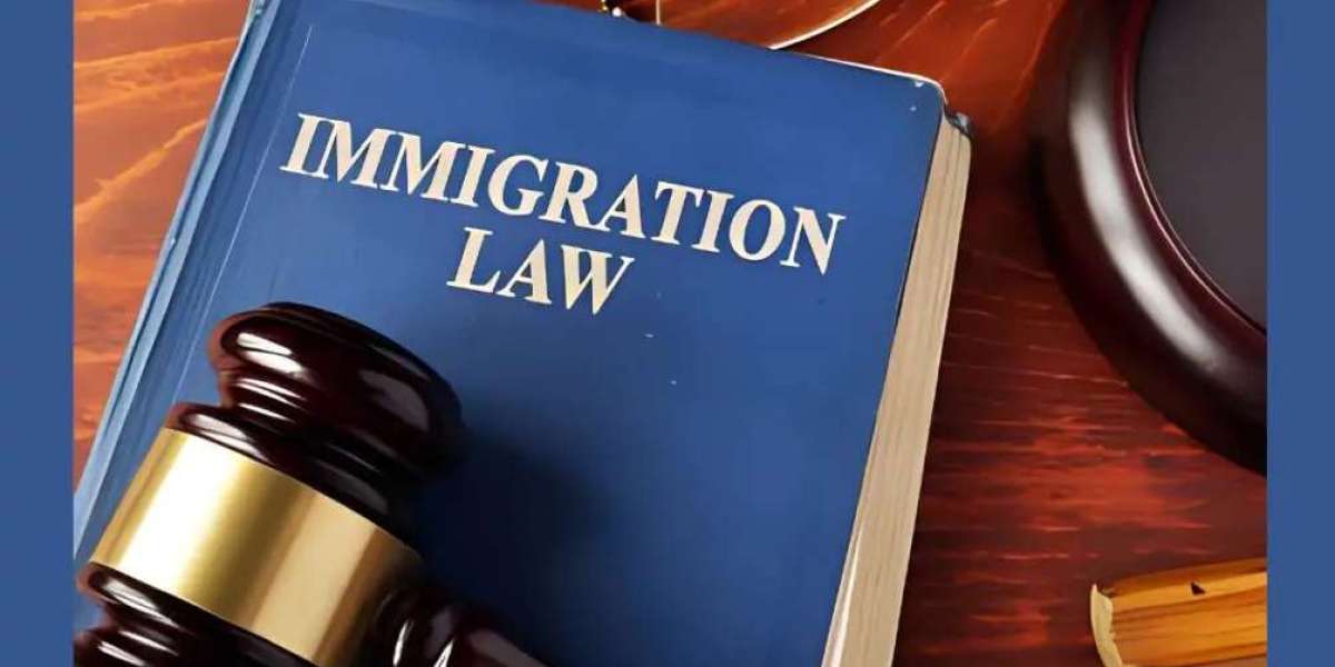 Immigration Lawyer Brampton: Your Guide to Canadian Immigration