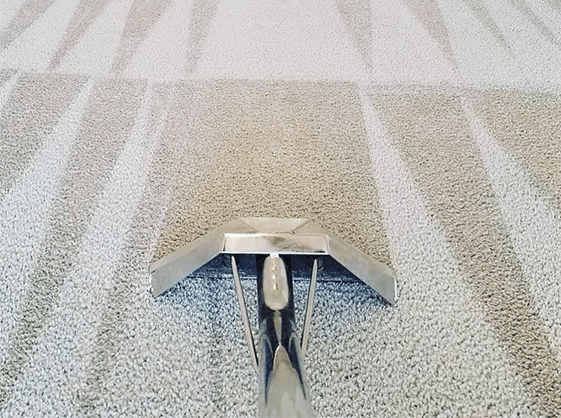 Carpet Cleaning Clapham SW4 | 20 000+ Positive Reviews