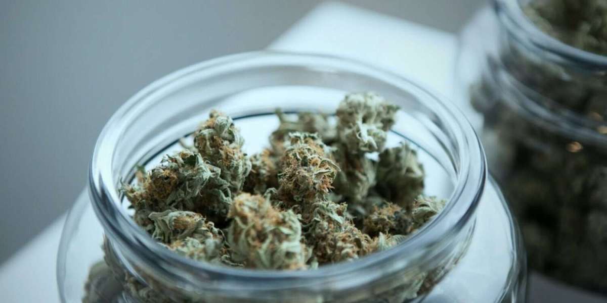 Discover the Best Dispensaries in Washington DC