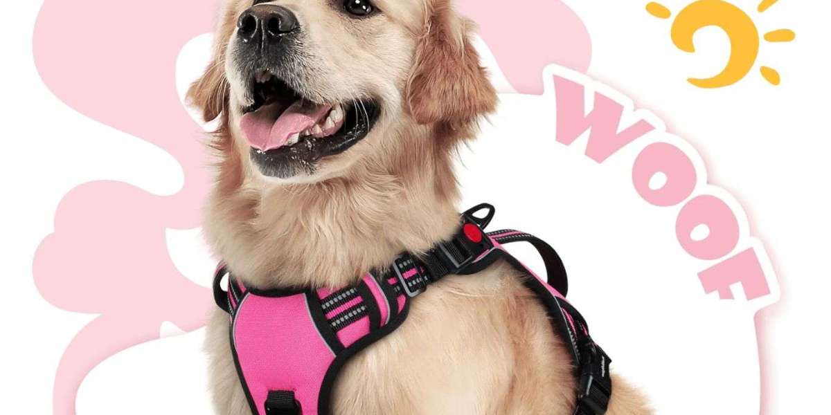 The Ultimate Guide to Choosing the Perfect Dog Harness