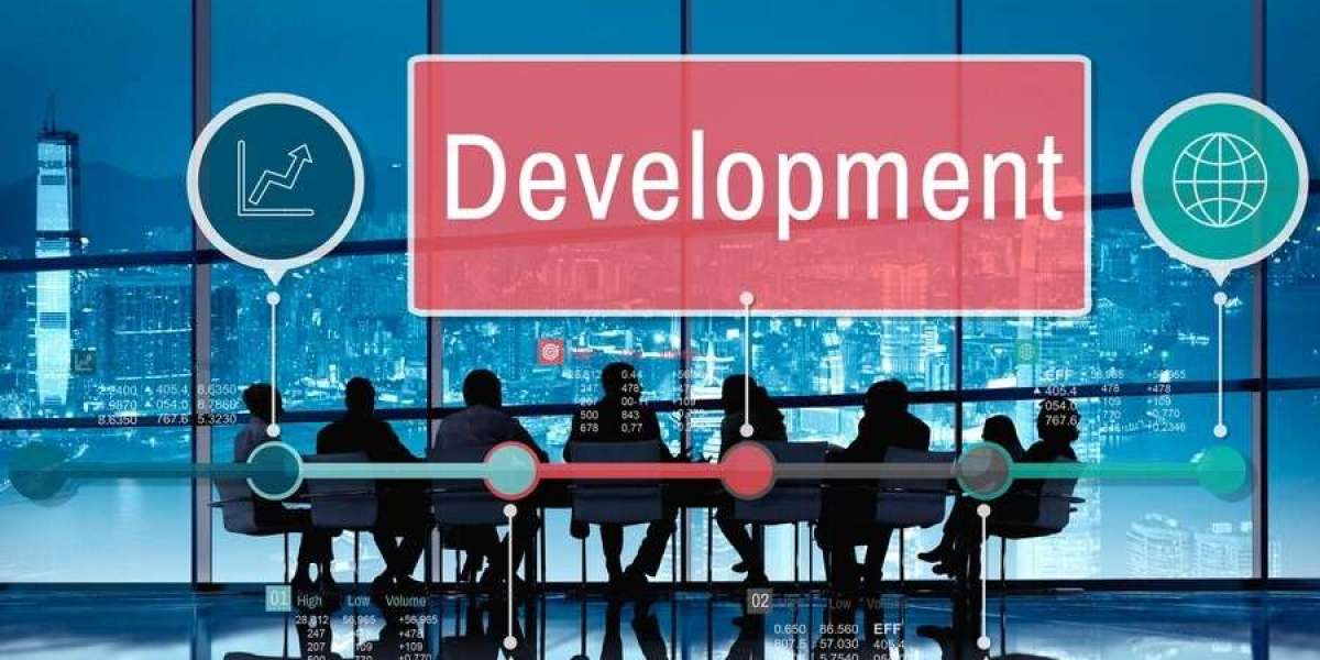 Hire An Experienced Web Development Company in Fujairah