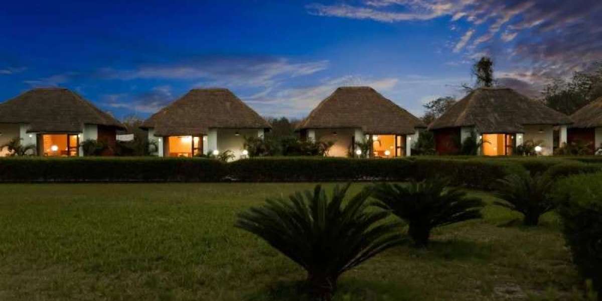 Discover the Best Hotels in Jim Corbett for a Memorable Stay