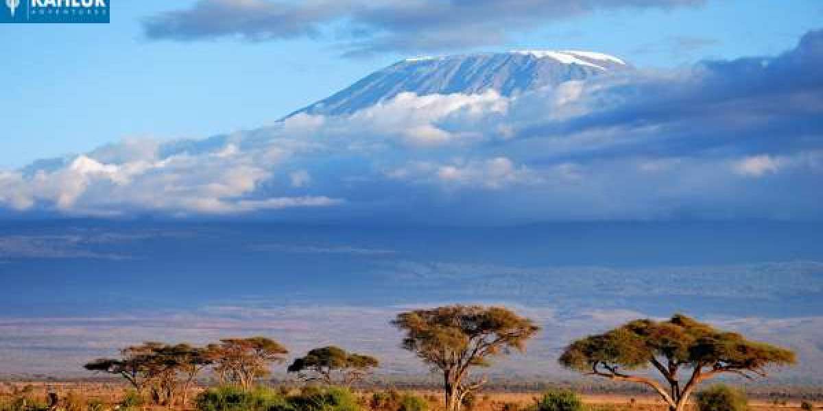 Trekking Mount Kilimanjaro via Machame Route with Kahlur Adventures