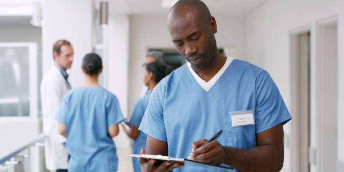 The Evolving Landscape of Nurse Writing Services: Enhancing Professional Growth and Patient Care