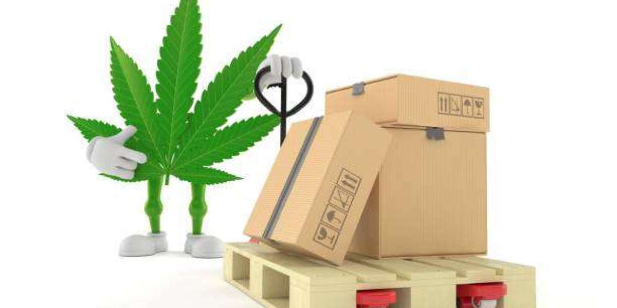 The Ultimate Guide to Kush Klinic's Cannabis Delivery Service