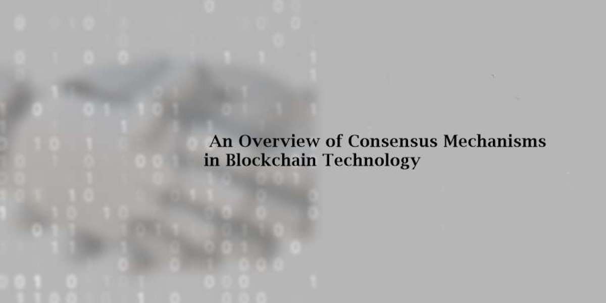 An Overview of Consensus Mechanisms in Blockchain Technology