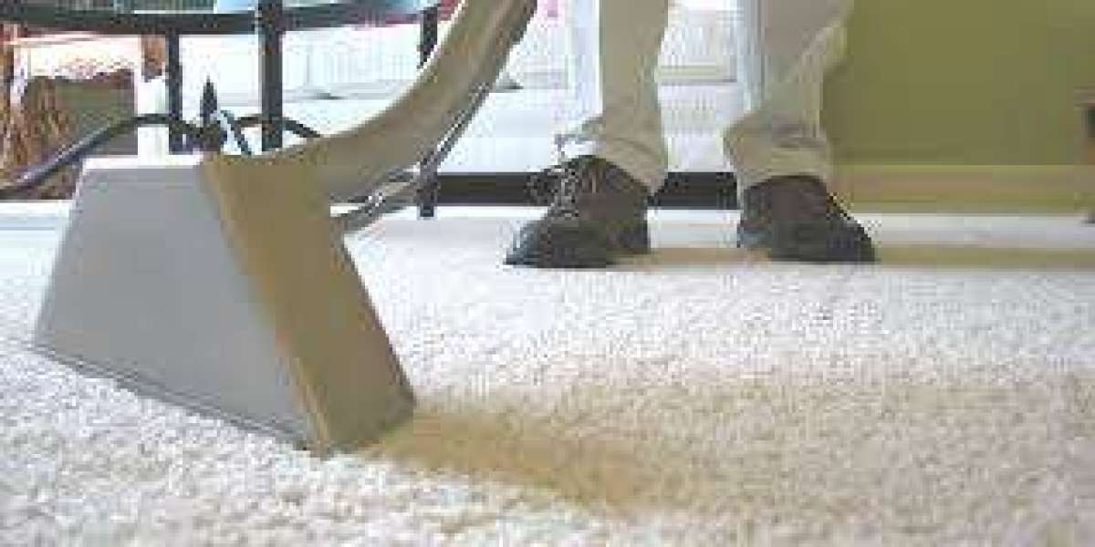 Professional Carpet Cleaning: An Investment Every Home Deserves