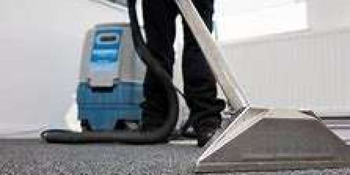 How Professional Carpet Cleaning Elevates Your Living Comfort