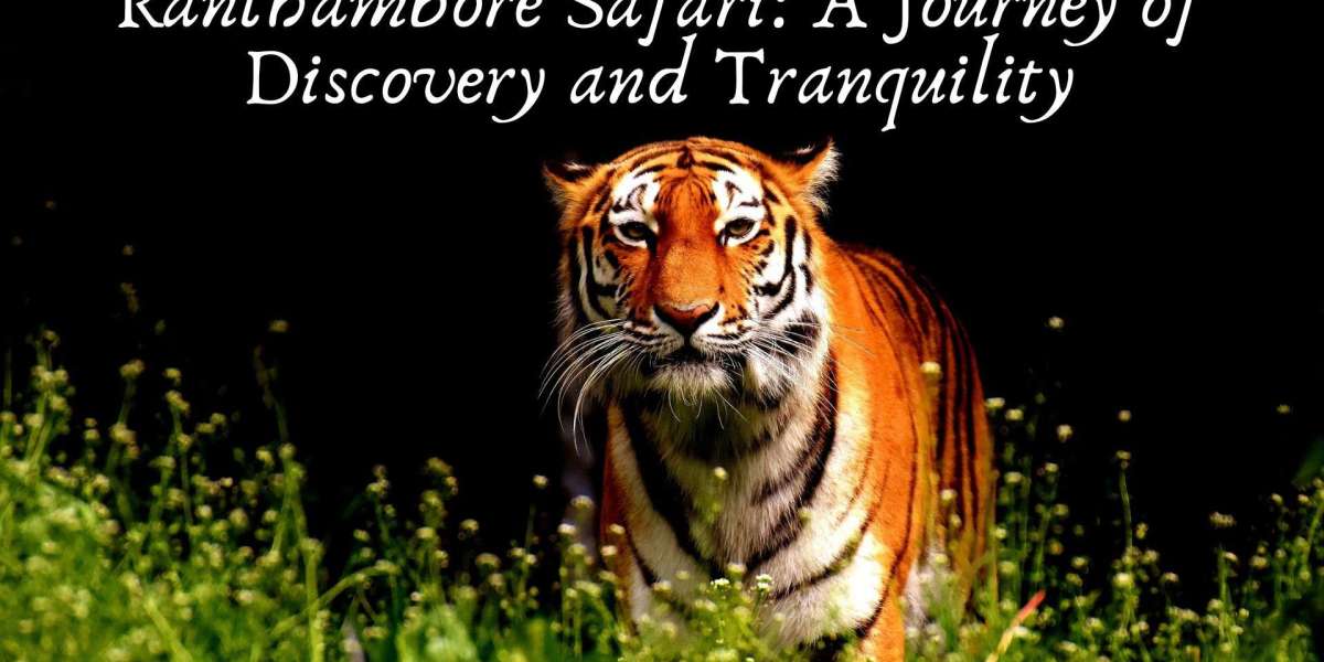 Ranthambore Safari: A Journey of Discovery and Tranquility