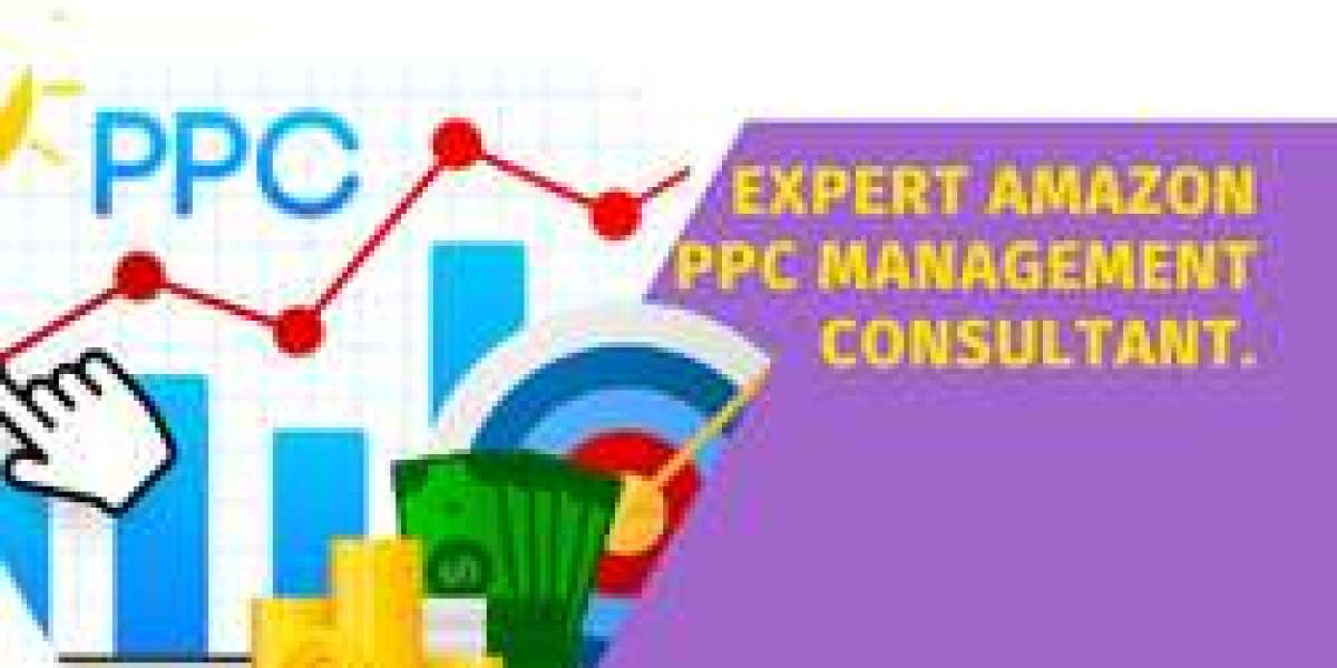 Expert Amazon PPC Management Consultant.