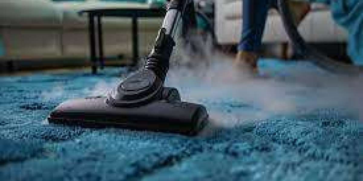 The Essential Role of Professional Carpet Cleaning in Allergy Symptom Management