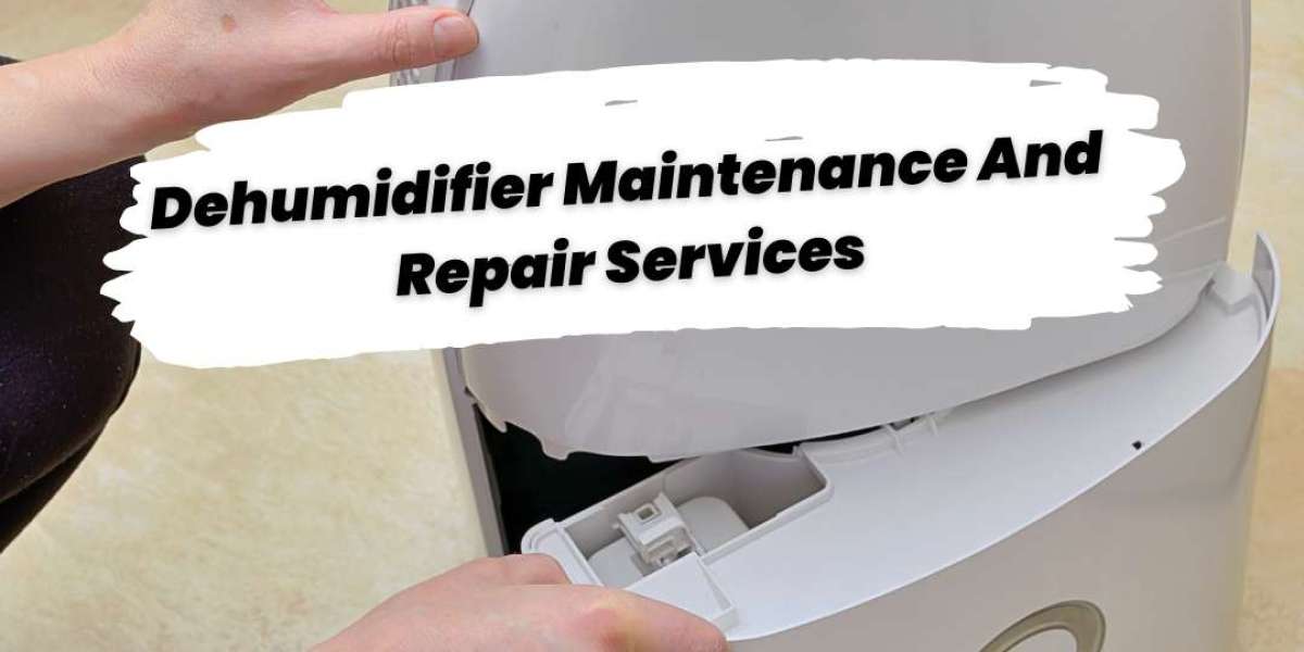 Top-Notch Dehumidifier Maintenance and Repair Services with AC World