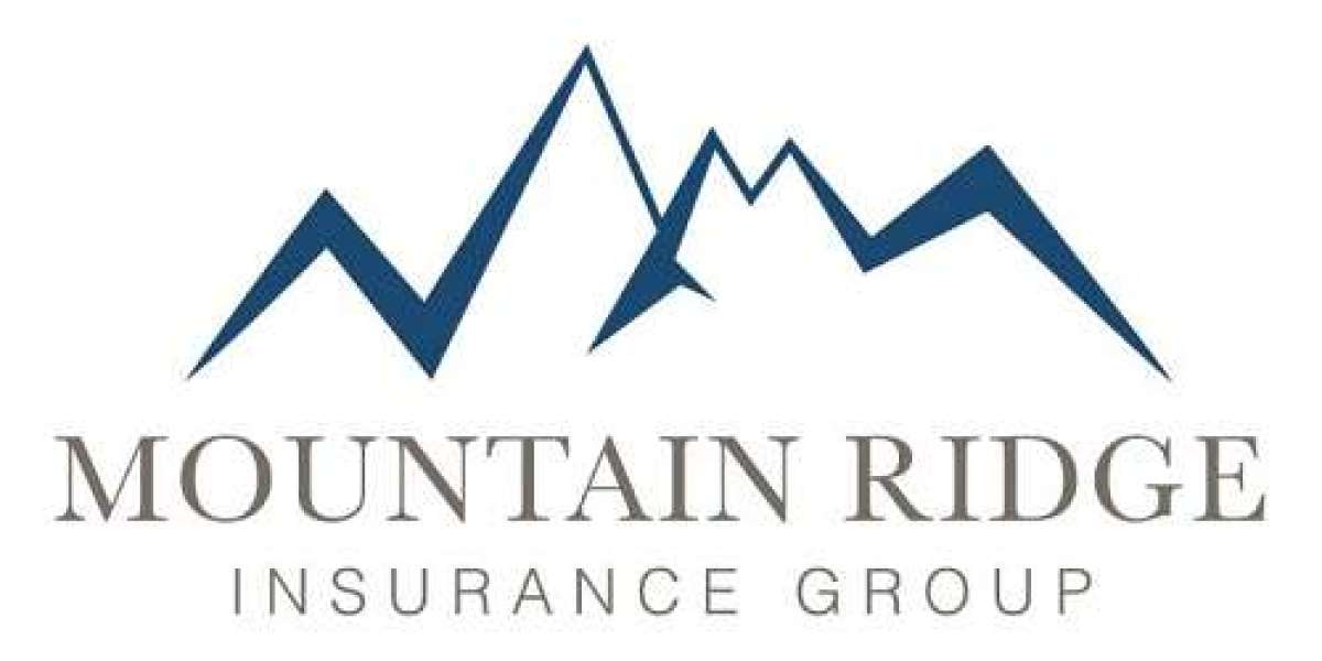 Mountain Ridge Insurance Group