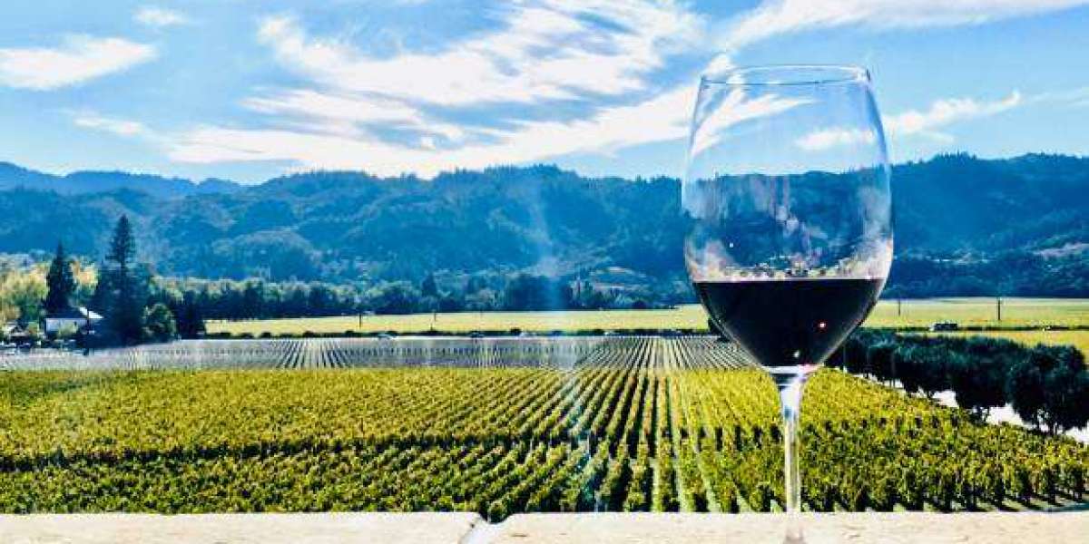 Unforgettable Winery Tours Uncover The Best Of Kelowna