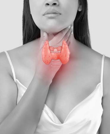 Best Thyroid Management Plan | Nourishment Spring