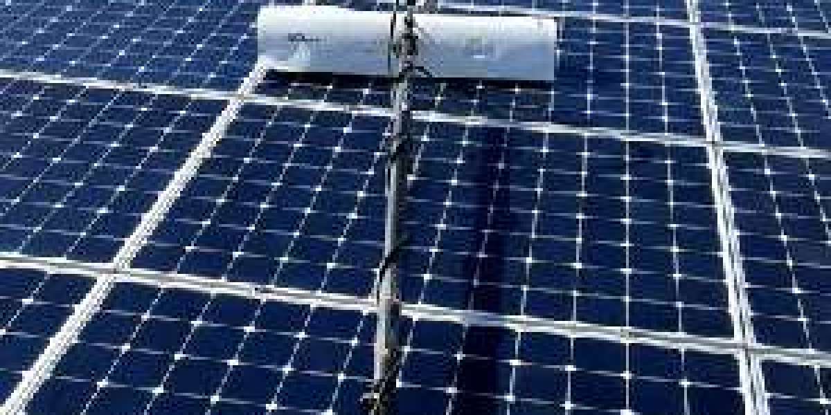 Solar Panel Cleaning & Bird Proofing: Essential Maintenance for Solar Panels in Fresno, Clovis, and Madera