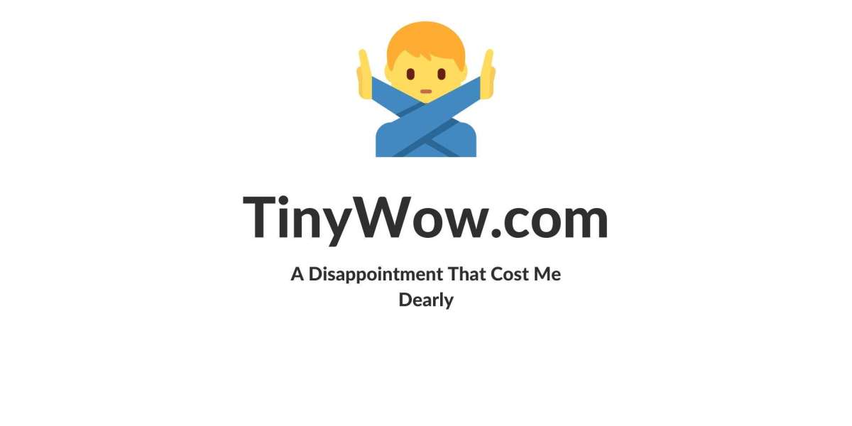 Tinywow.com: A Disappointment That Cost Me Dearly