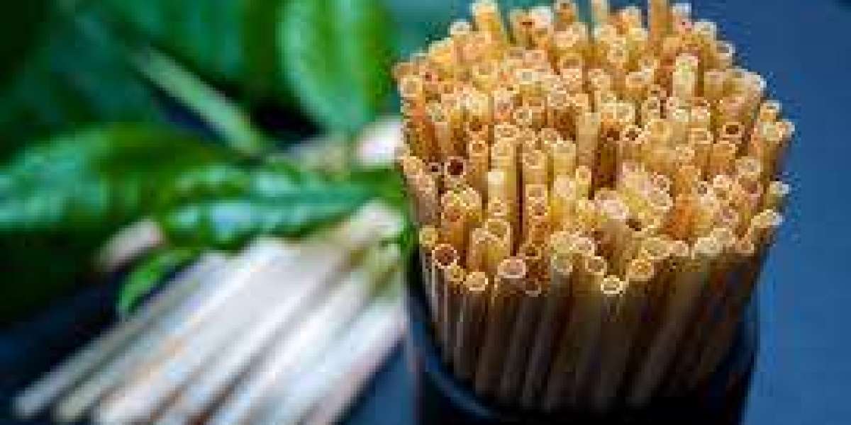 Eco Friendly Straws Market 2023 Global Industry Analysis With Forecast To 2032