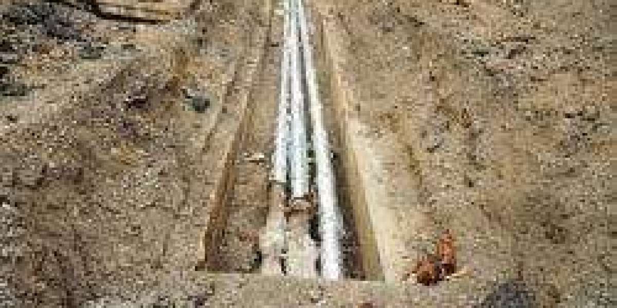 Blocked Drains Poole: Causes, Solutions, and Prevention Tips