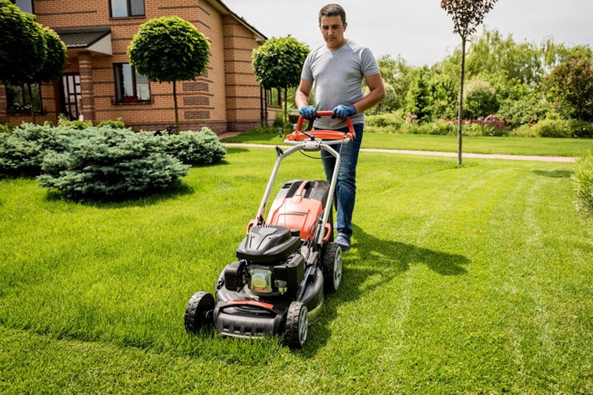 Top 5 Mistakes to Avoid When Caring for Your Irving Lawn