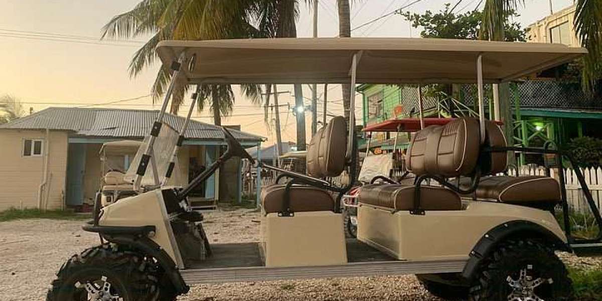 Explore Fort Lauderdale in Comfort with 6-Passenger Golf Cart Rentals!