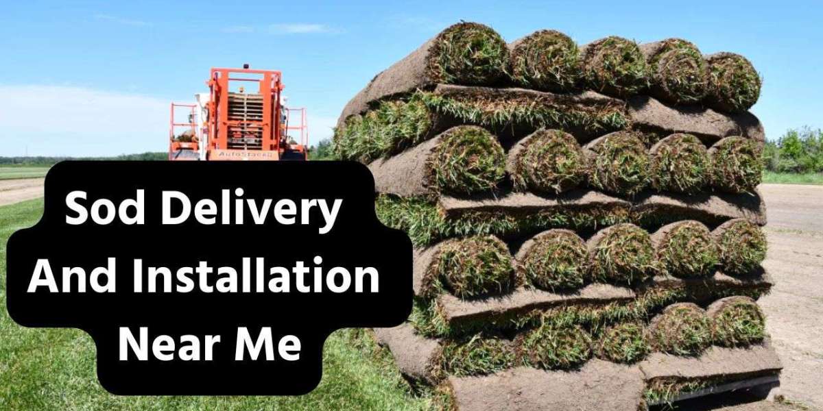 Sod Delivery and Installation Near Me