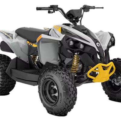 2025 Can-Am Renegade 70 EFI for Sale Profile Picture