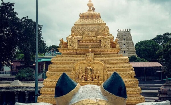 Malikarjun Jyotirlinga Temple Tour Packages In 2023 | Shiv Shankar Tirth Yatra