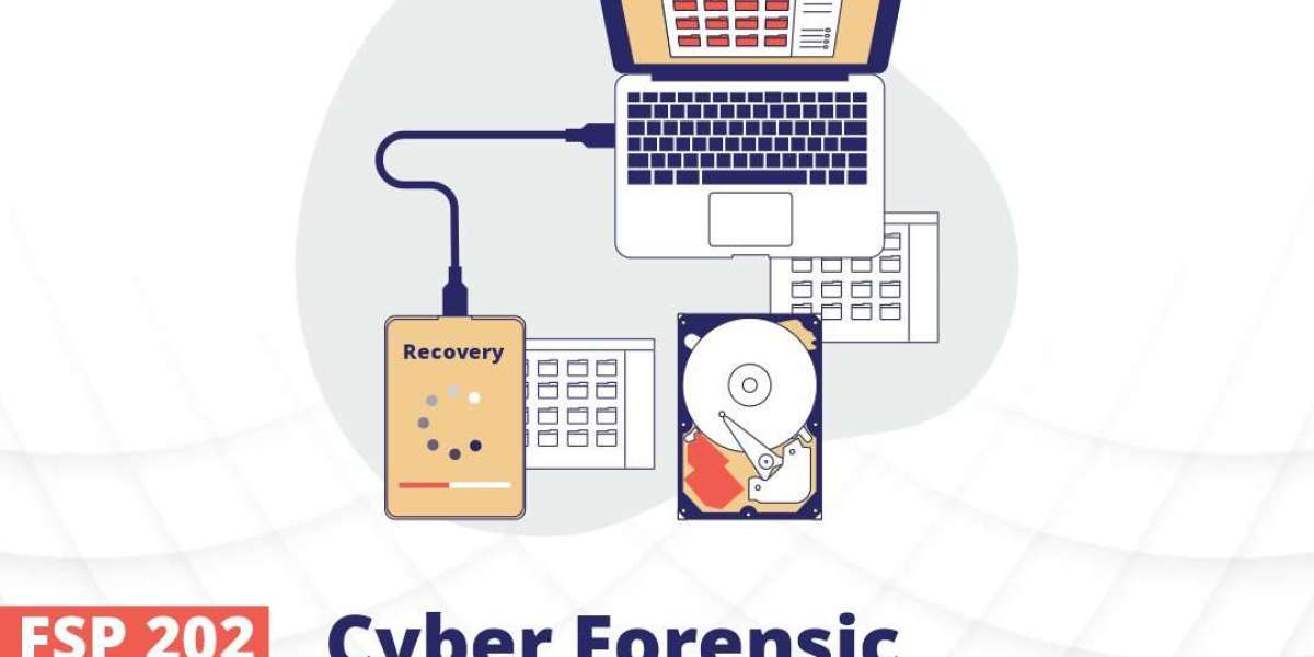 The Role of Cyber Forensic Investigation in Fighting Cybercrime