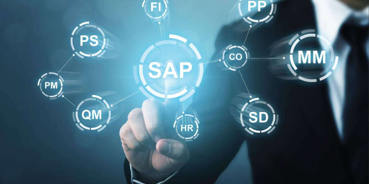 SAP Implementation & Development Services | SCM Champs Inc.