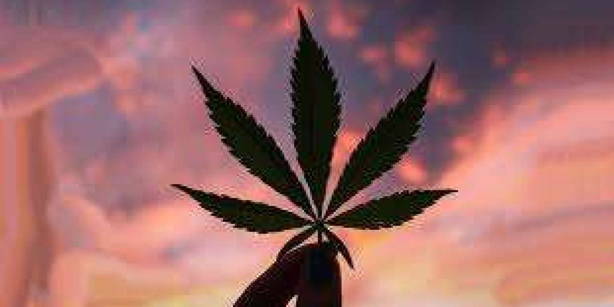 Recreational Weed Delivery in Modesto: Enjoy the Best Strains