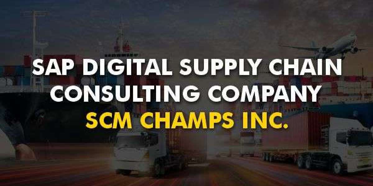 SAP Implementation & Development Services | SCM Champs Inc.