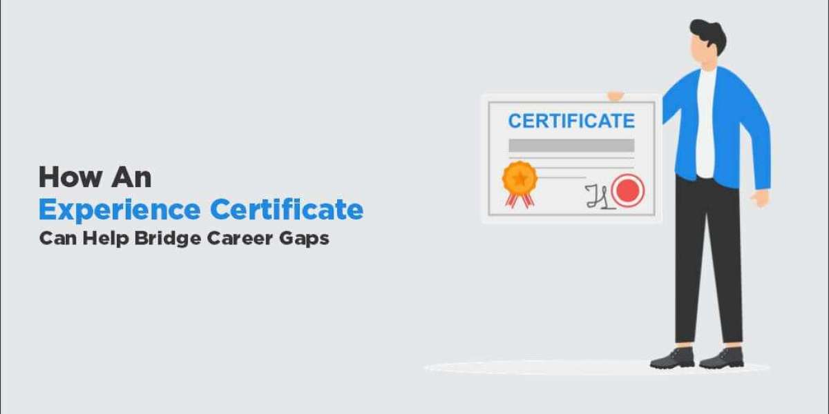 How An Experience Certificate Can Help Bridge Career Gaps