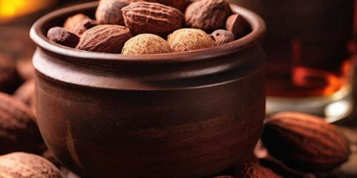 Cocoa Liquor Manufacturing Plant Project Report 2024: Cost Analysis and Raw Material Requirements