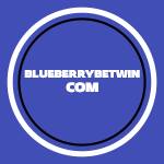 blueberrybetwin Profile Picture