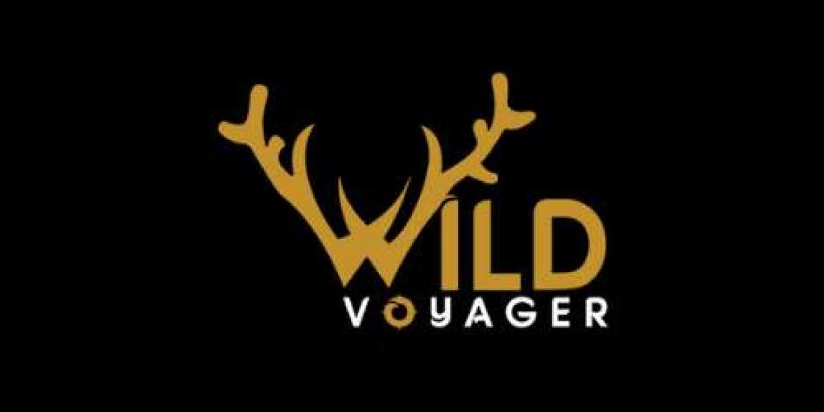 Embark on a Serengeti Camping Safari with Wild Voyager