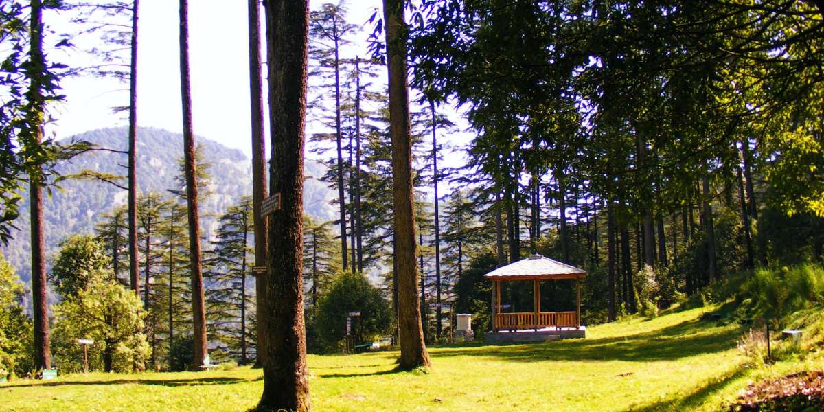 Rishikesh to Dhanaulti Cab