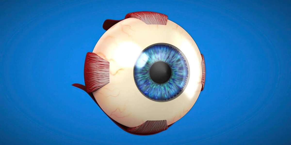 Holistic Eye Care: The Role of a Retina Eye Specialist