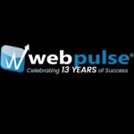 Webpulse Solution Pvt Ltd Profile Picture