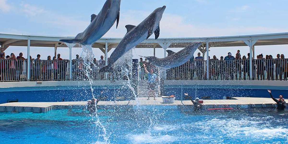 Unforgettable Family Adventures at Gulf Breeze Zoo and Gulfarium Marine Adventure Park