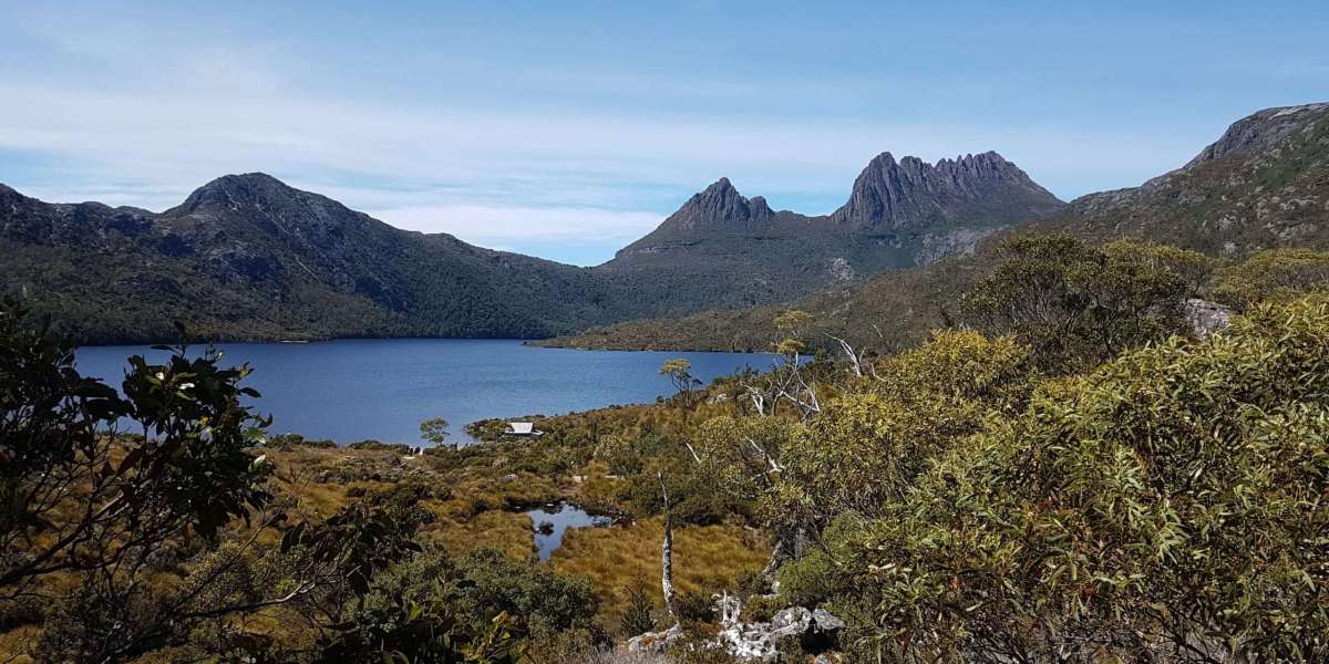 Discover the Majestic Beauty: Your Ultimate Guide to Cradle Mountain Tours