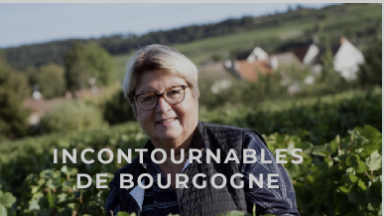 Votre guide incontournable pour acheter du vin de Bourgogne en ligne : conseils pour trouver des bouteilles authentiques