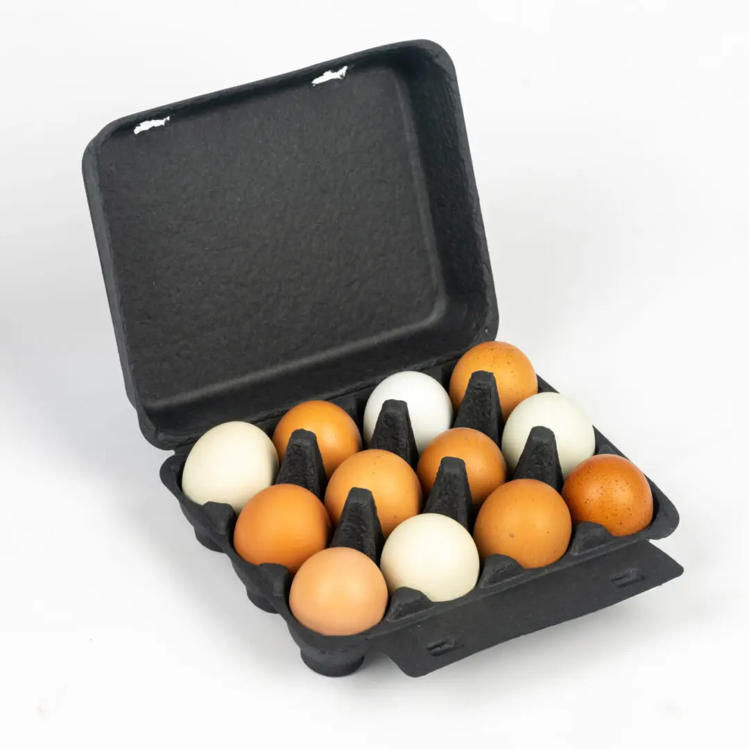 Eco-Friendly Egg Cartons Supplier | Poultry Cartons