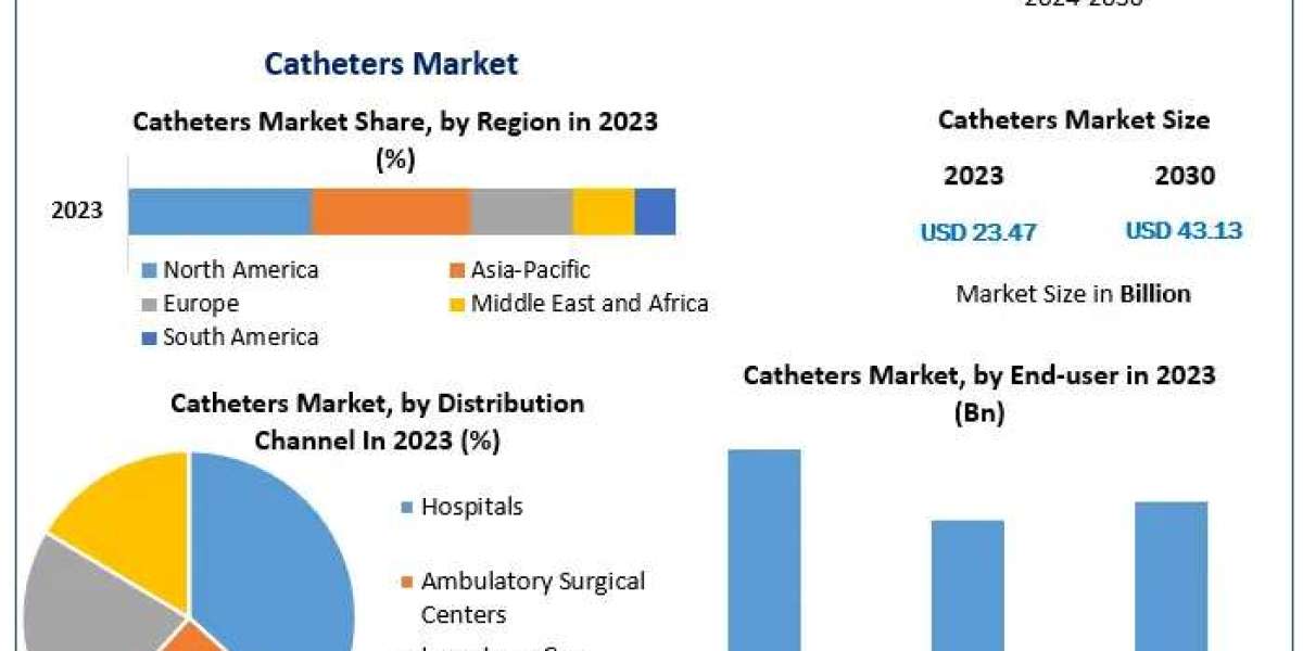 Global Catheters Market Forecast: Expanding to USD 43.13 Billion by 2030