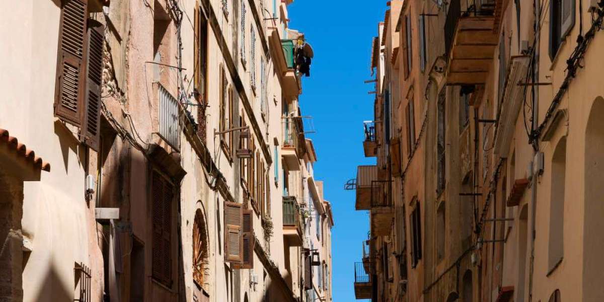 Museo Puglia: Un'Immersione nella Storia e Cultura della Regione