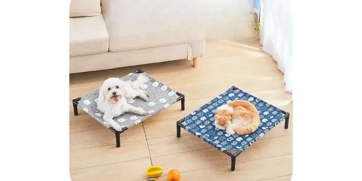 Finding the Perfect Dog Beds and Elevated Pet Beds for Your Furry Friend