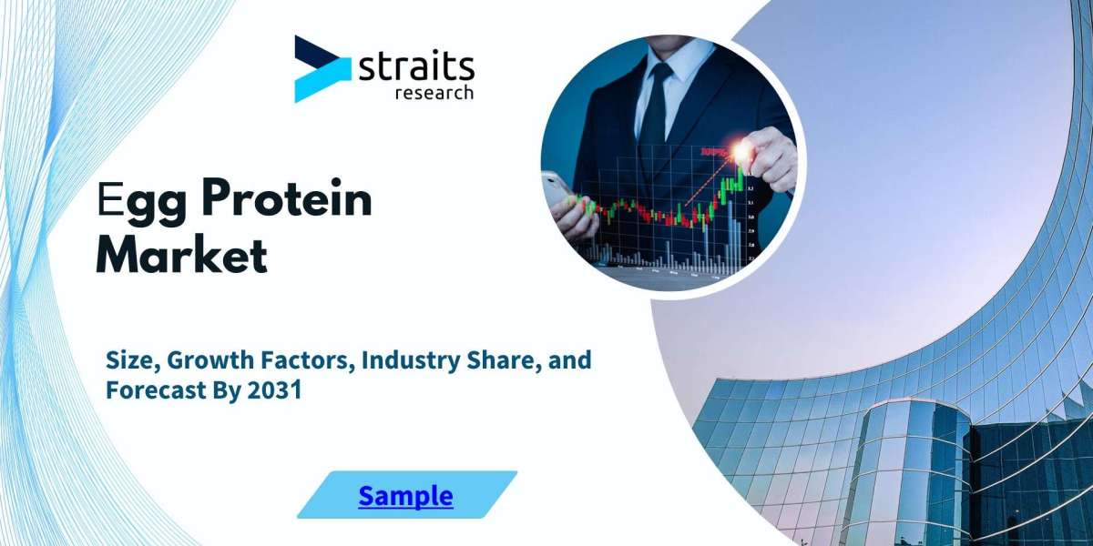 Egg Protein Market: Insights, Trends, and Key Players Shaping the Industry