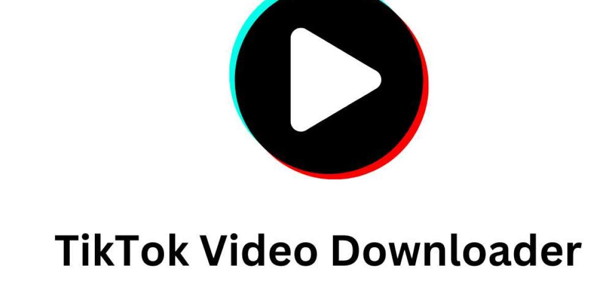 TikTok Video Downloader